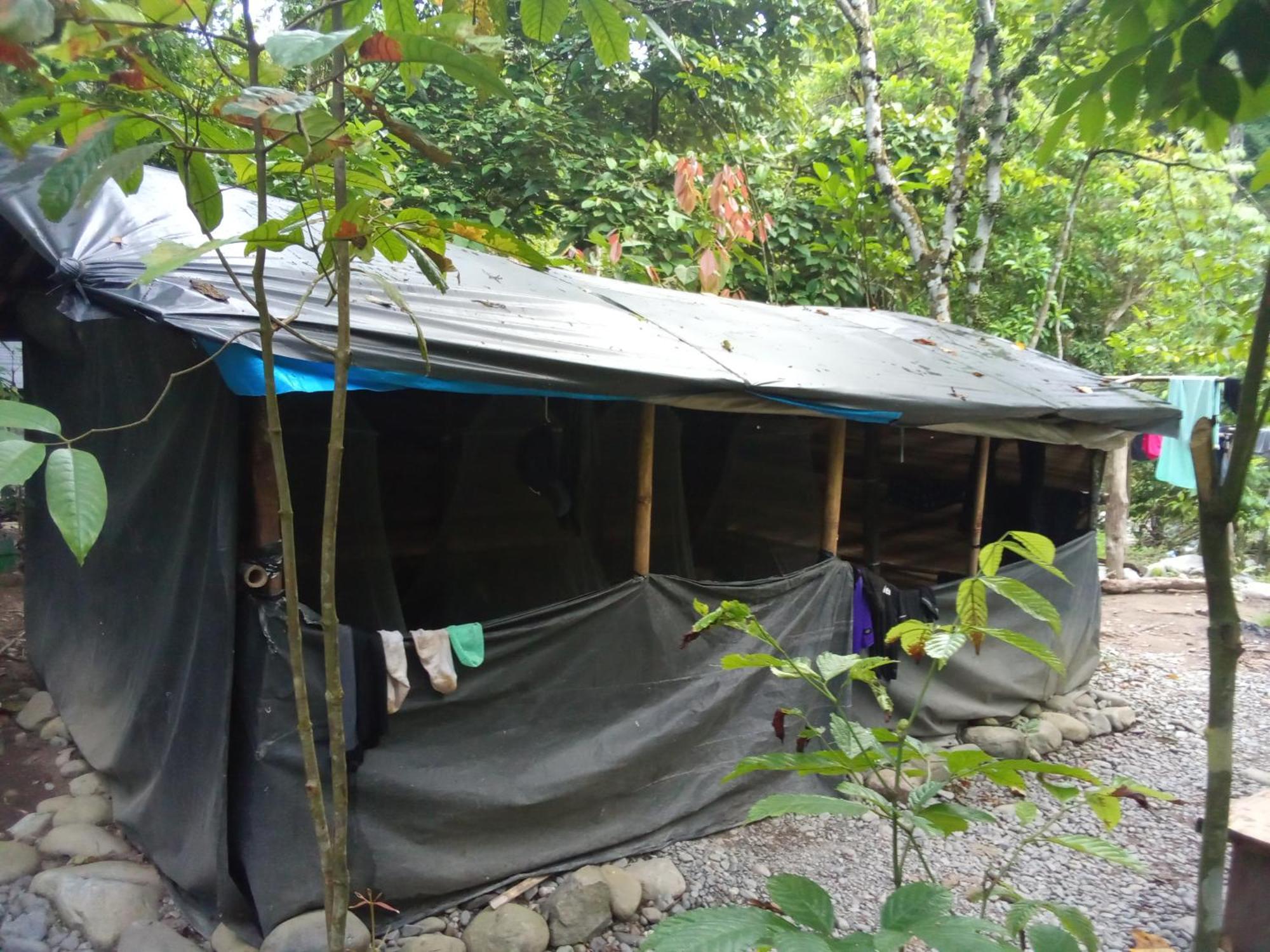 Jungle Treking & Jungle Tour If You Want To Stay Here,You Must Book Treking Only With Us Bukit Lawang Dış mekan fotoğraf