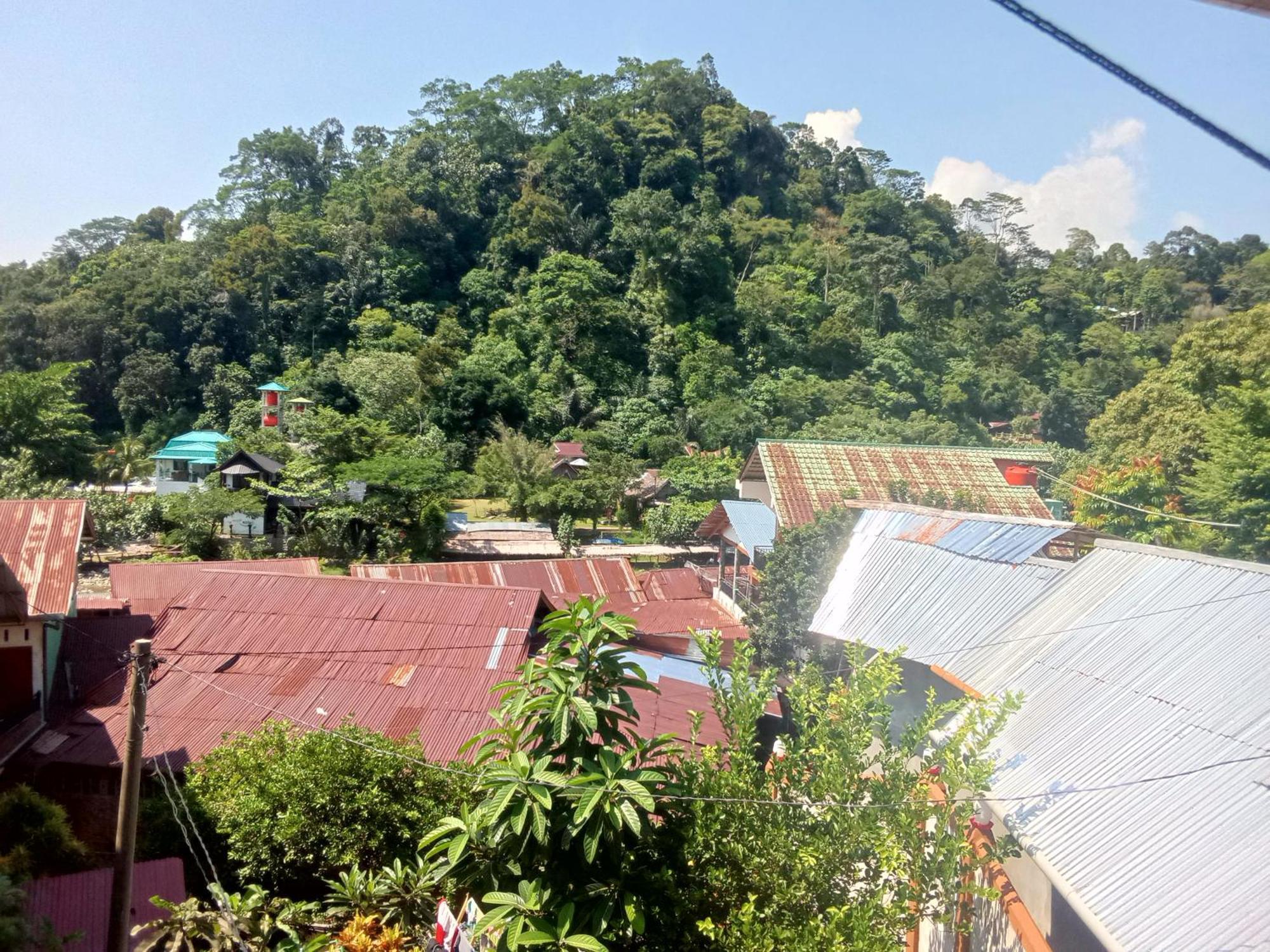 Jungle Treking & Jungle Tour If You Want To Stay Here,You Must Book Treking Only With Us Bukit Lawang Dış mekan fotoğraf