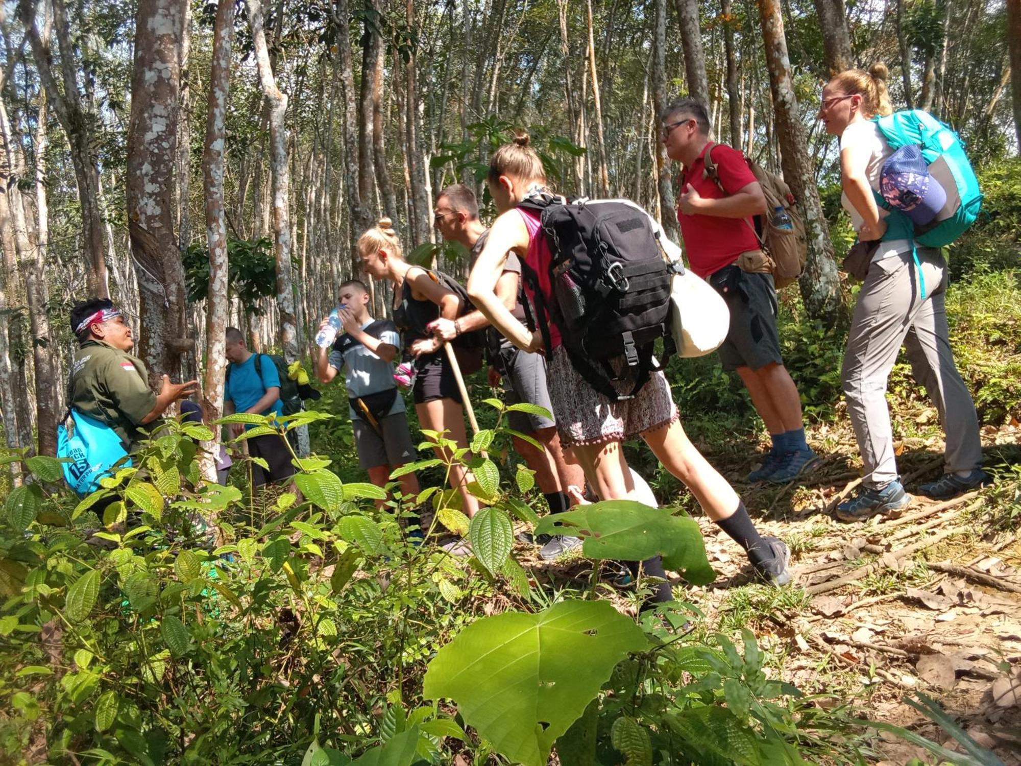 Jungle Treking & Jungle Tour If You Want To Stay Here,You Must Book Treking Only With Us Bukit Lawang Dış mekan fotoğraf
